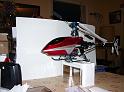 NewTrexcanopy 003